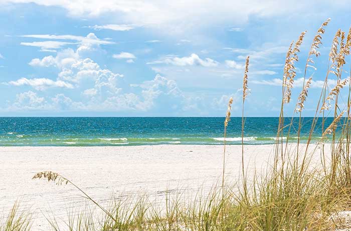 Florida beach scene