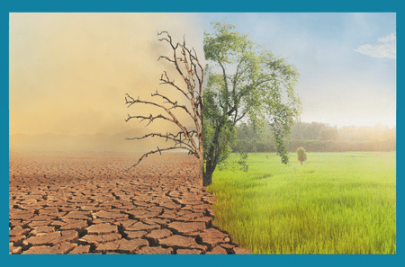 Headline: The Psychological Impacts of Climate Change on our kids By Kathy Rivera